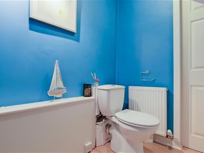 Picture 14